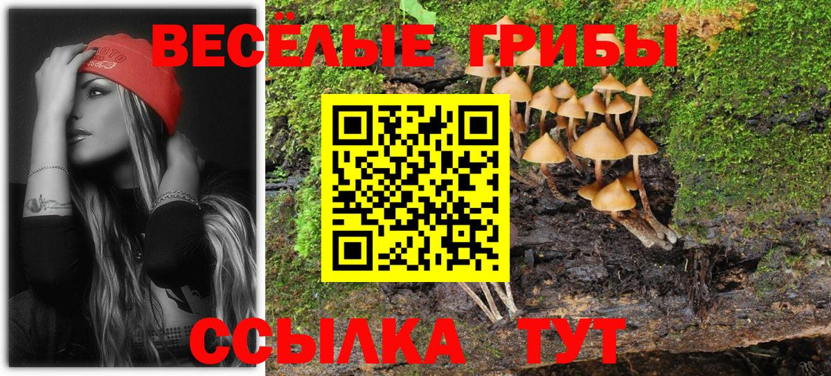 дарнет шоп  Вход с VPN  Галлюциногенные грибы GOLDEN TEACHER  Сызрань  Галлюциногенные грибы GOLDEN TEACHER 